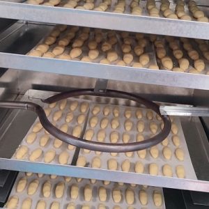 تنورگازی 10سینی